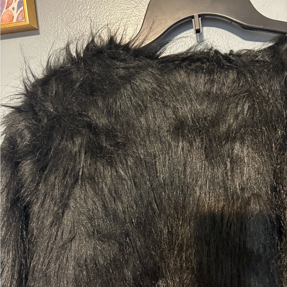 Elegant Black Faux Fur Teddy Coat - Picture 9 of 12